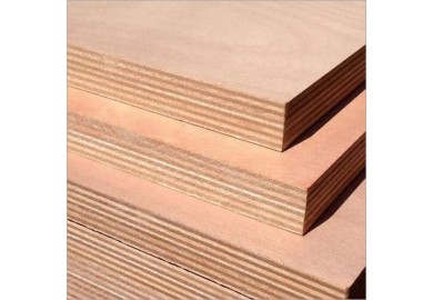 A Comprehensive Guide to Choosing the Right Plywood for Your Project"**